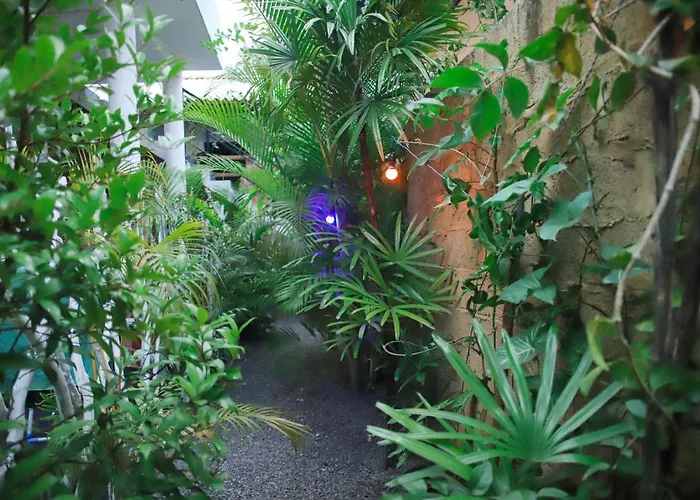 Ruwan Jungle Homestay