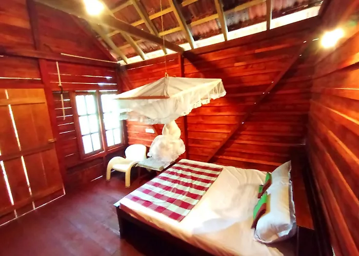 Parrot Tree House