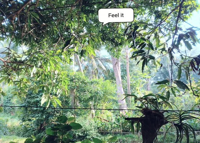 Gajaa Safari Homestay