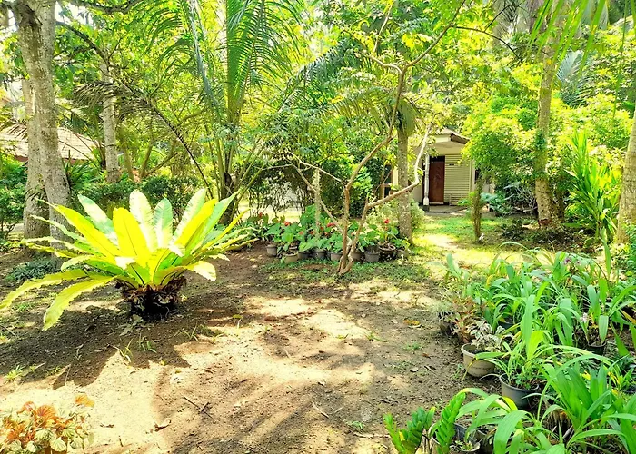Senarath Villa