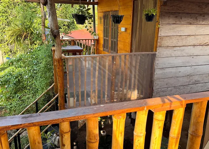 Parrot Tree House